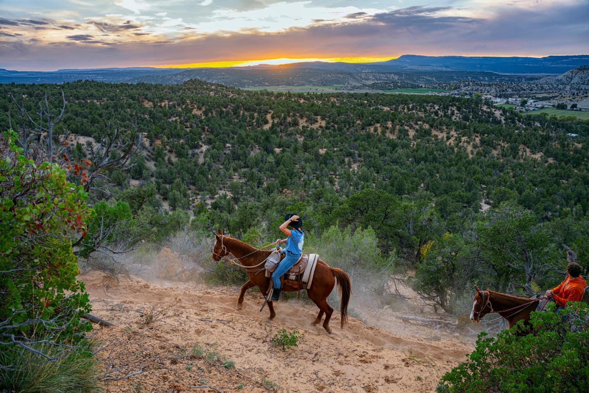 Zion Ponderosa Ranch Resort Спрингдейл Экстерьер фото