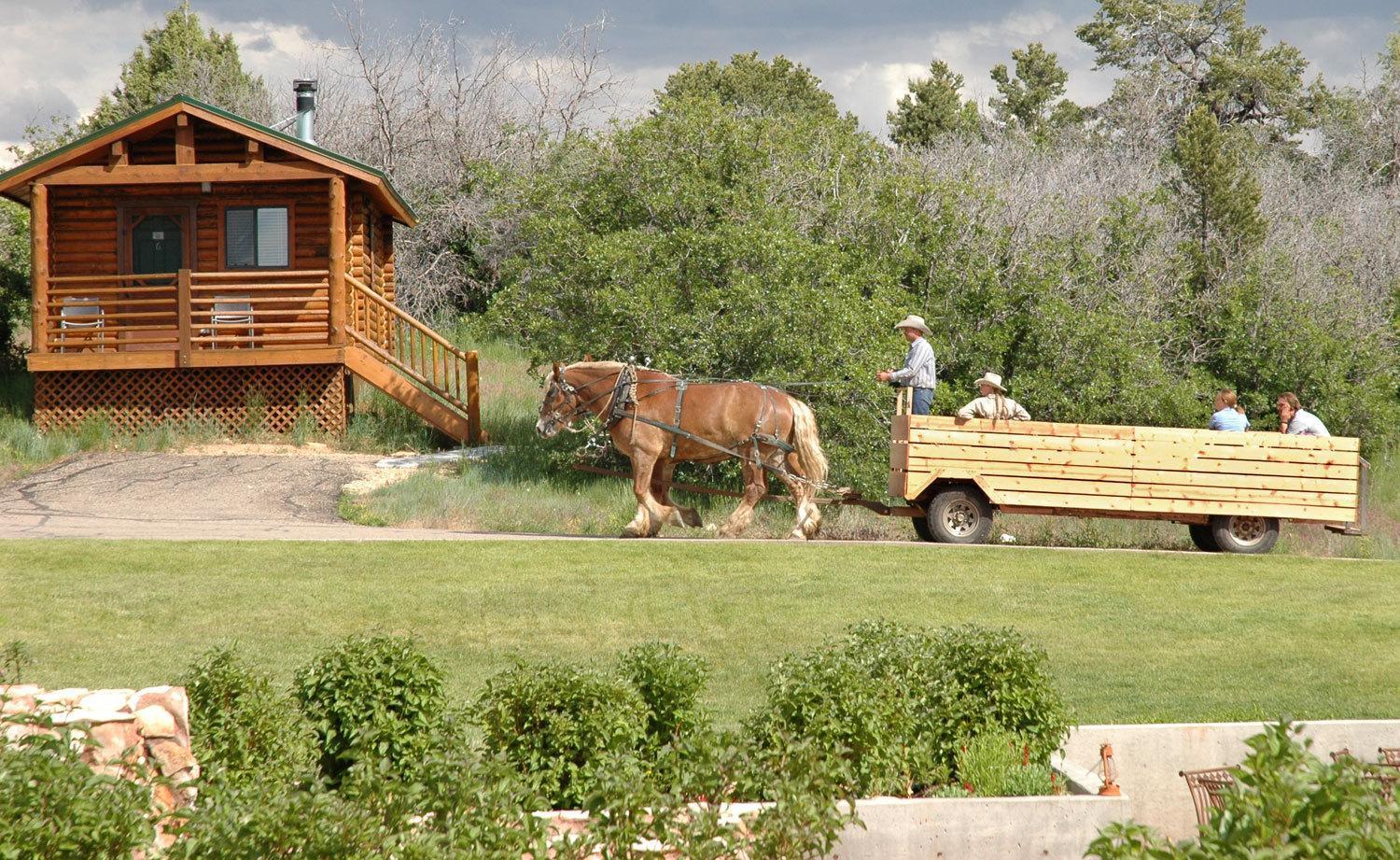 Zion Ponderosa Ranch Resort Спрингдейл Экстерьер фото